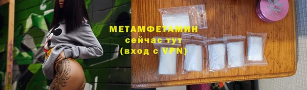 прущие грибы Медногорск