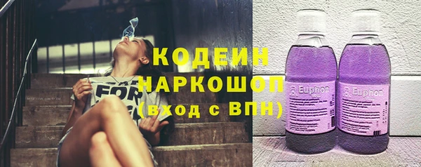прущие грибы Медногорск