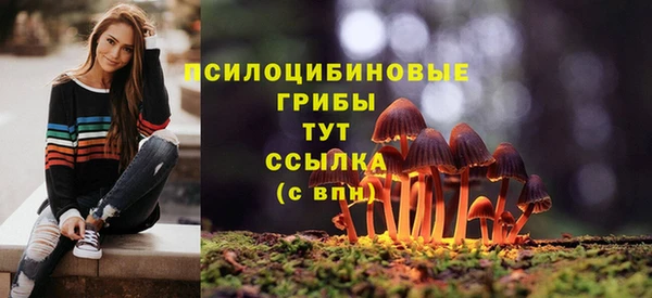 каннабис Медвежьегорск