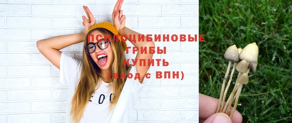 хмурый Майский