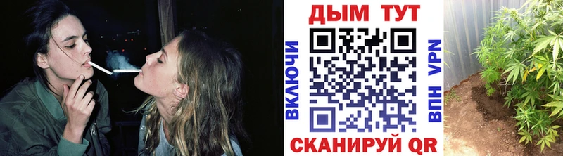 darknet Telegram Хвалынск Марихуана AK-47